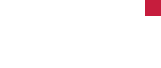 Logo_PEAK-System_white